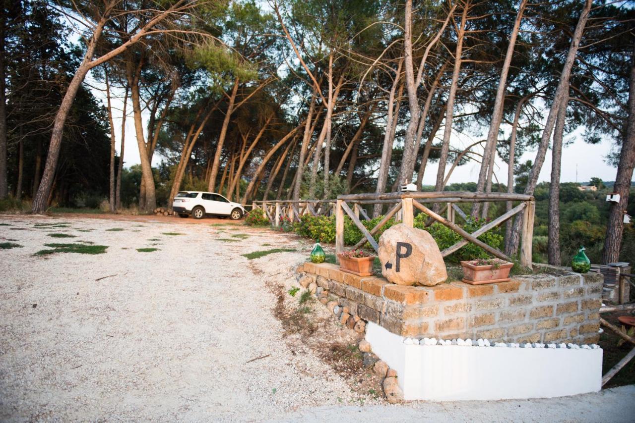Le Terrazze Di Casa Bonelli Bed & Breakfast Vetralla Luaran gambar